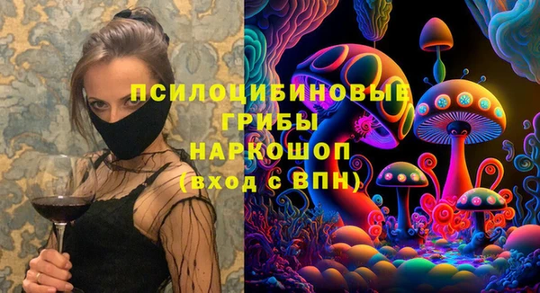 spice Карталы