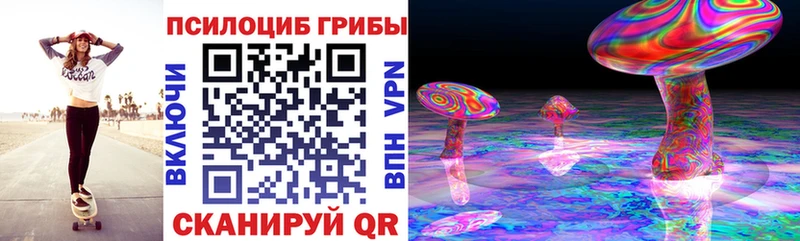 Галлюциногенные грибы Cubensis  Купить  Зеленодольск 